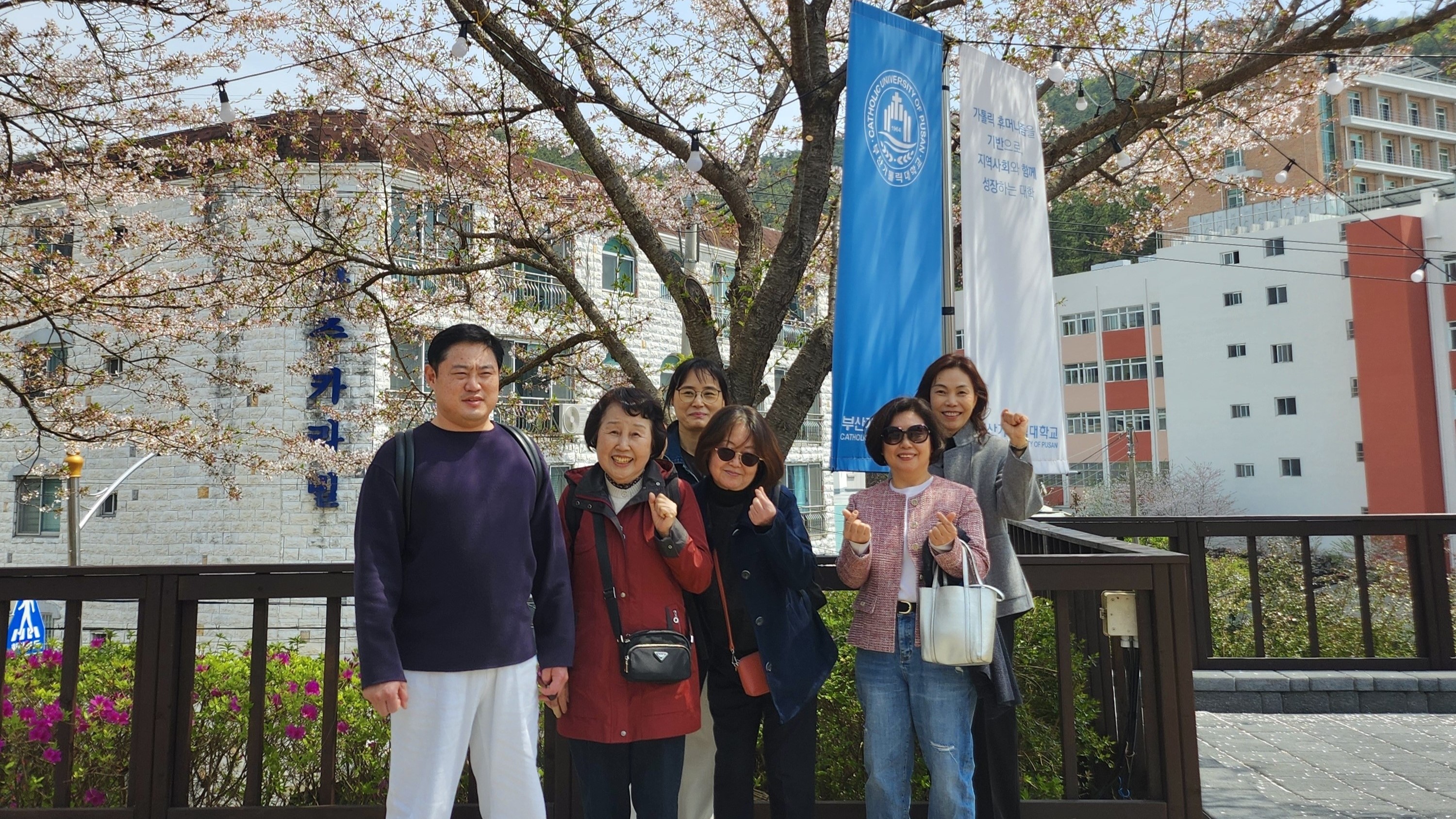 미래설계융합학부 벚꽃1.jpg 이미지